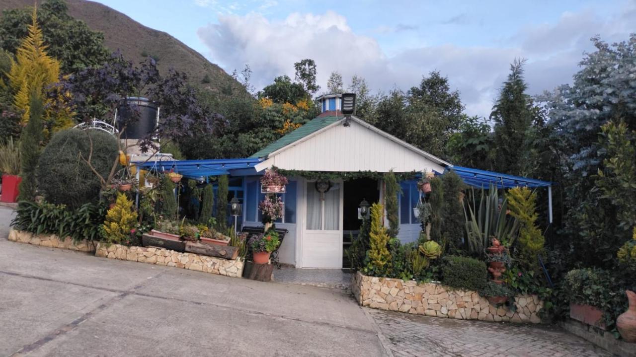 אקיטניה Villa Evelia מראה חיצוני תמונה