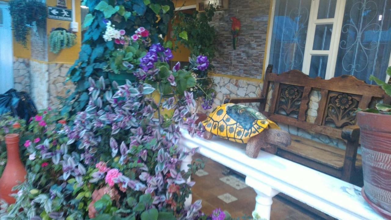 אקיטניה Villa Evelia מראה חיצוני תמונה