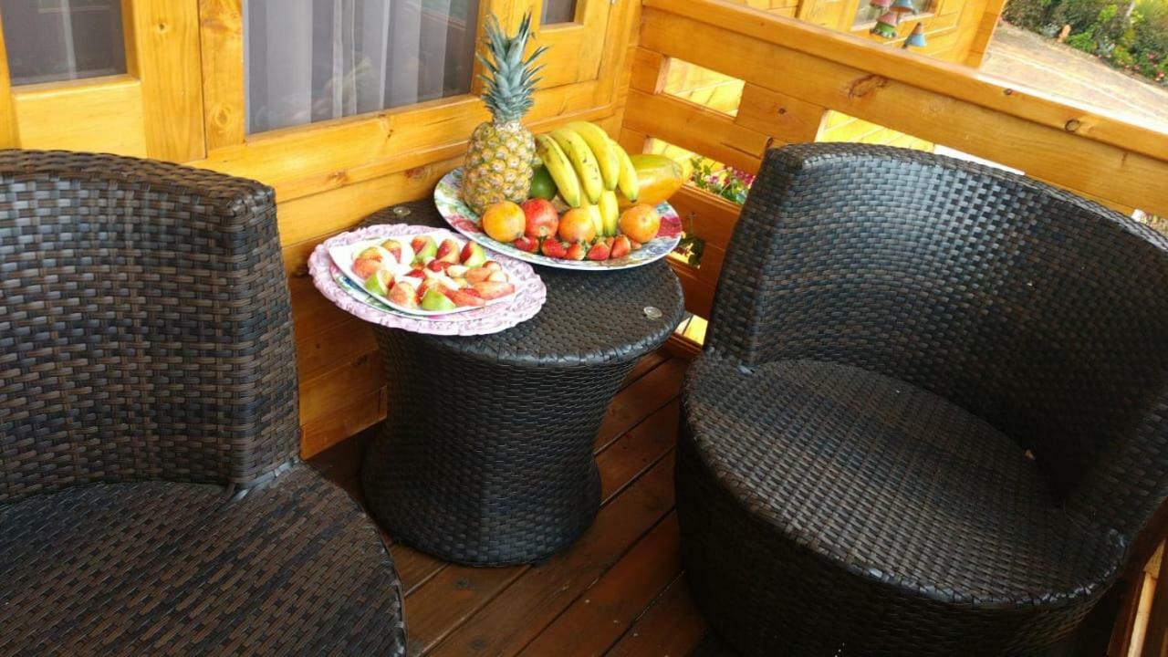 אקיטניה Villa Evelia מראה חיצוני תמונה